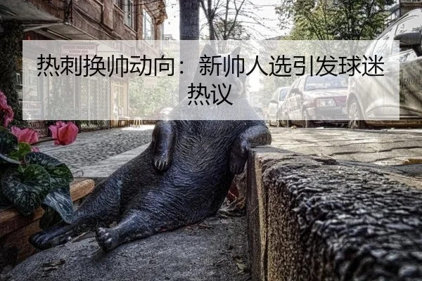 re-ci-huan-shuai-dong-xiang-xin-shuai-ren-xuan-yin-fa-qiu-mi-re-yi-2-552.jpg